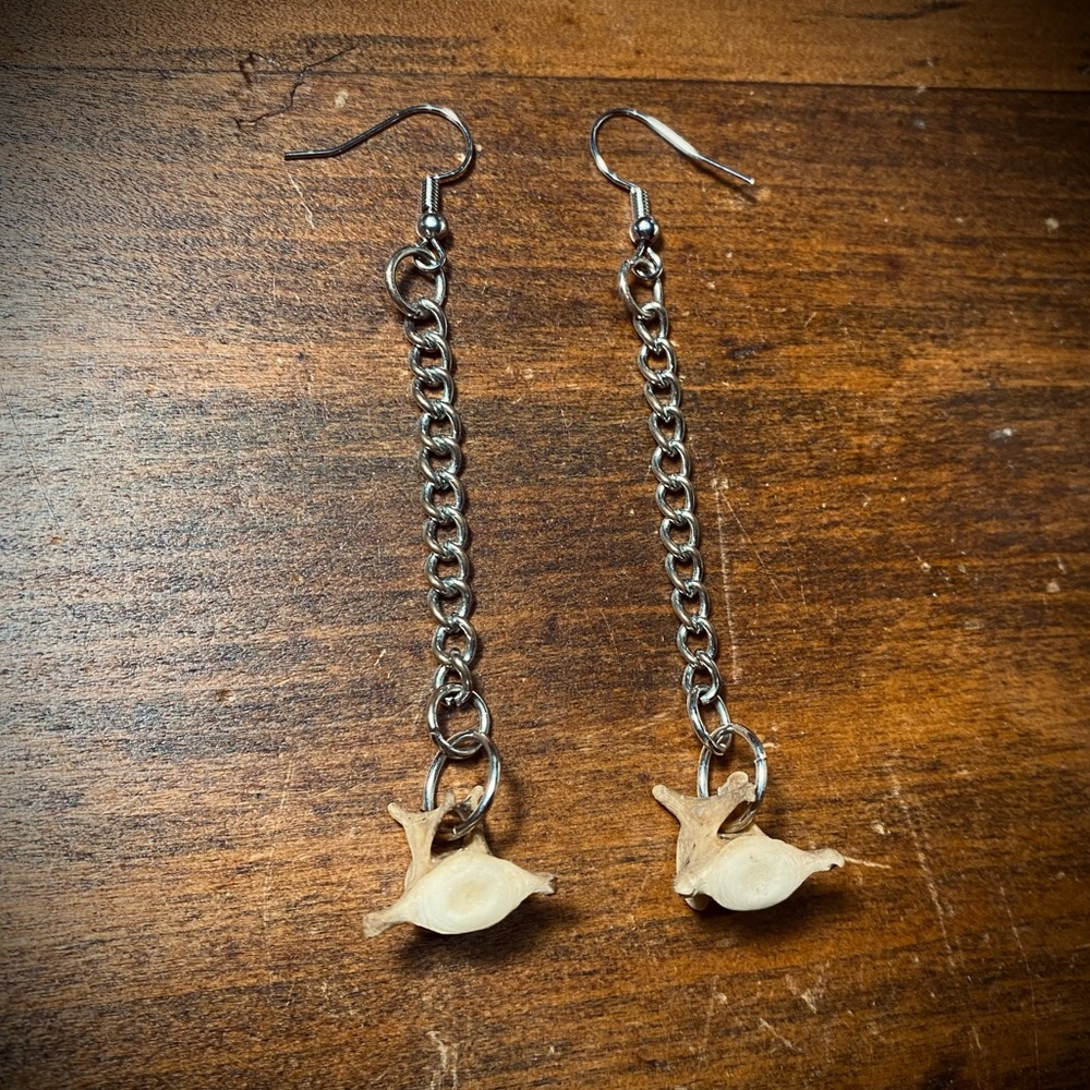 Real Coyote Vertebrae Bone Chain Earrings